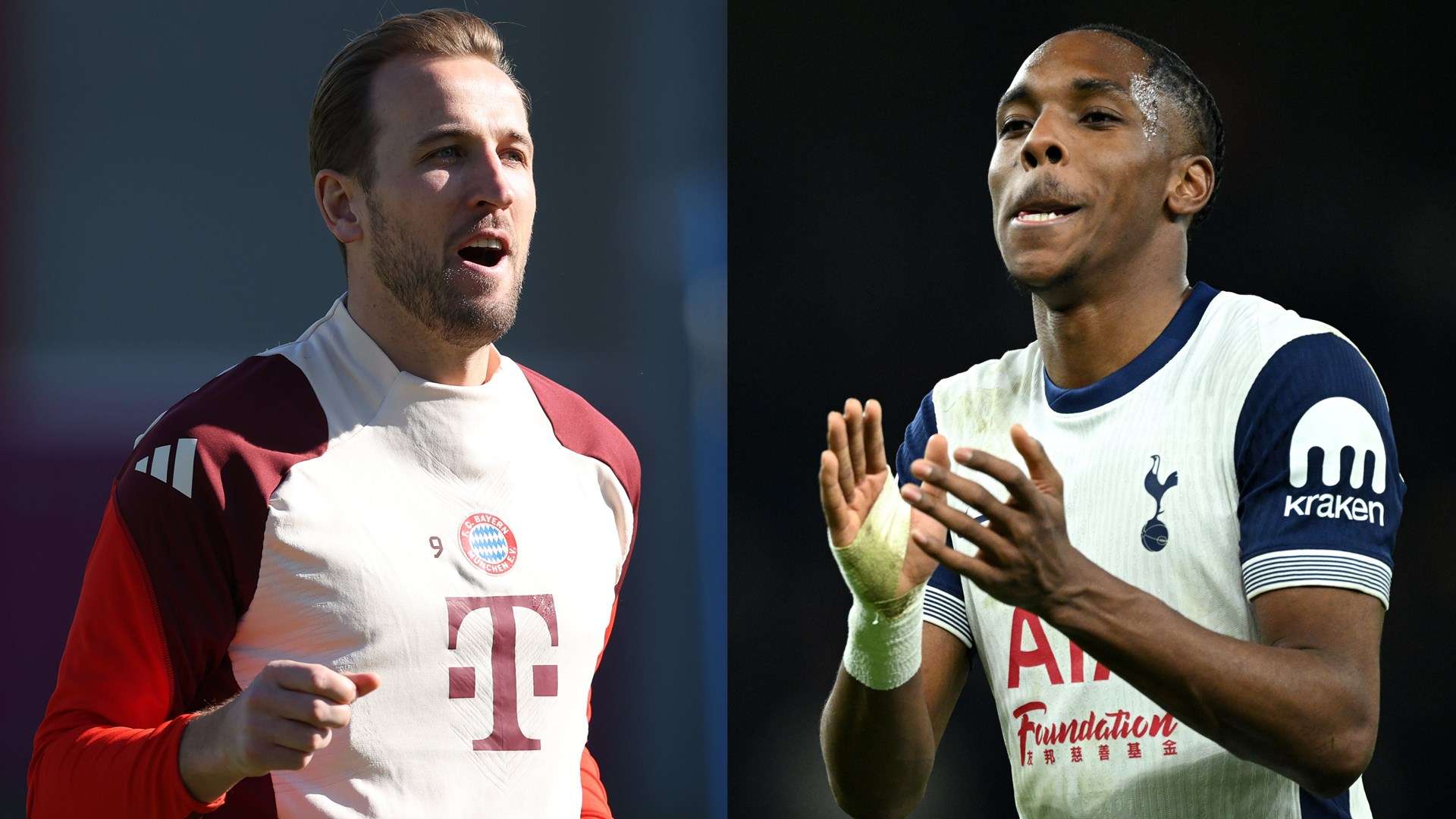 米的全能型 米的全能型