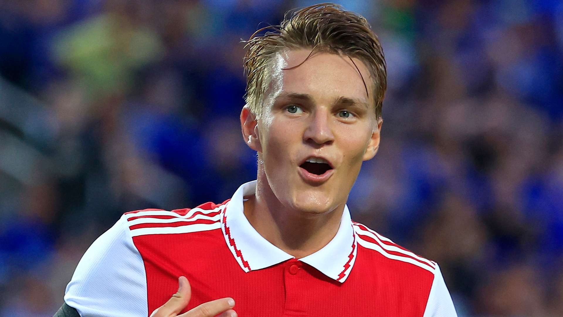 利奠定了基 利奠定了基